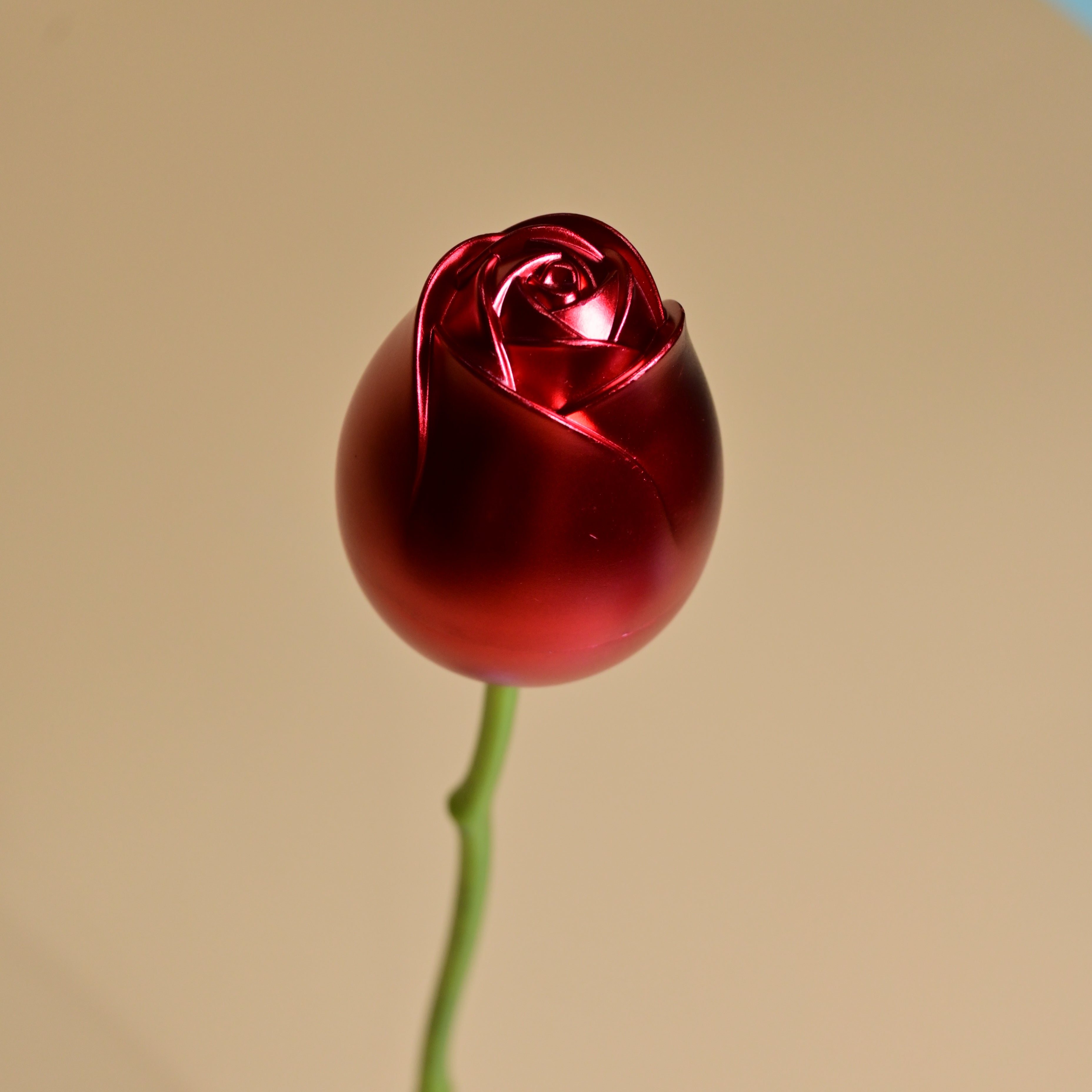 Eternal Rose Treasure Box with Hidden Jewellery.